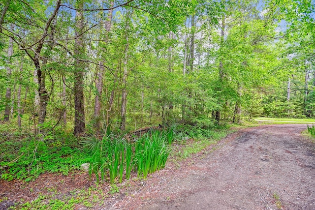 7095 Parkers Ferry Rd, Adams Run, SC 29426