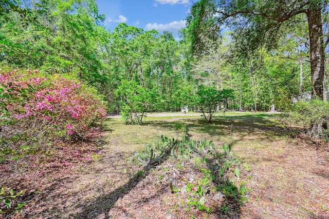 7095 Parkers Ferry Rd, Adams Run, SC 29426