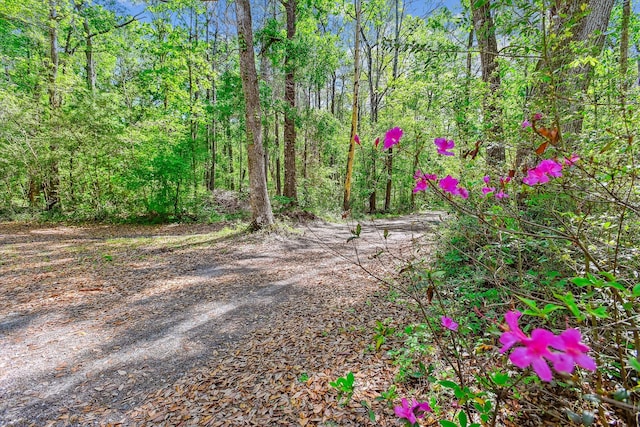 7095 Parkers Ferry Rd, Adams Run, SC 29426