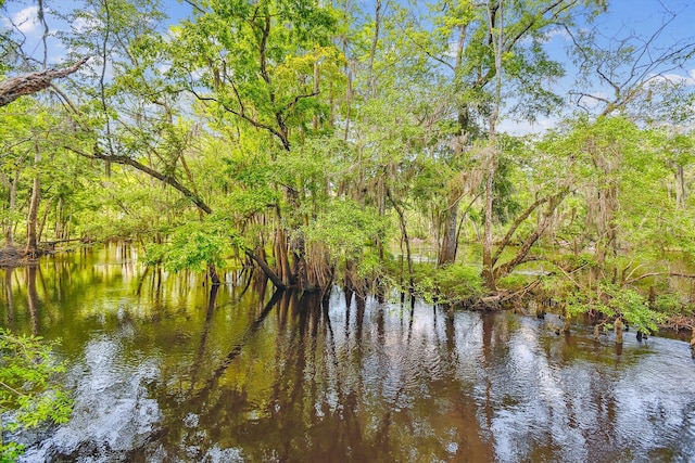 7095 Parkers Ferry Rd, Adams Run, SC 29426