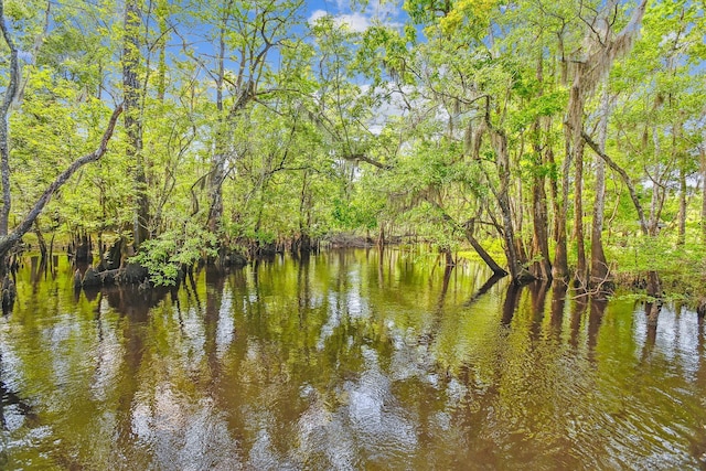 7095 Parkers Ferry Rd, Adams Run, SC 29426