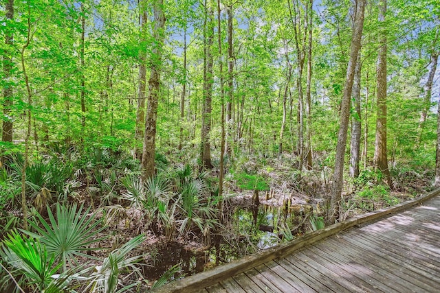 7095 Parkers Ferry Rd, Adams Run, SC 29426