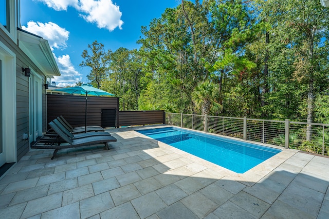 view of pool featuring a patio area