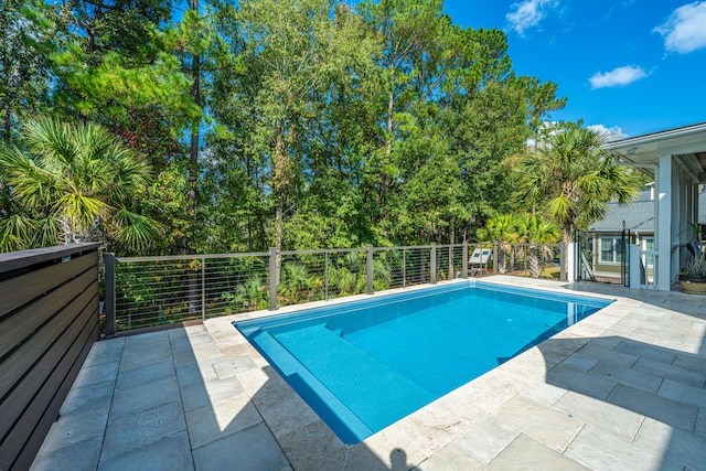 view of swimming pool featuring a patio