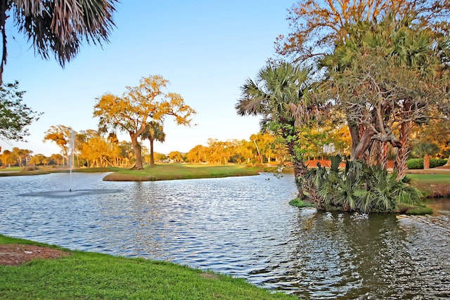 property view of water