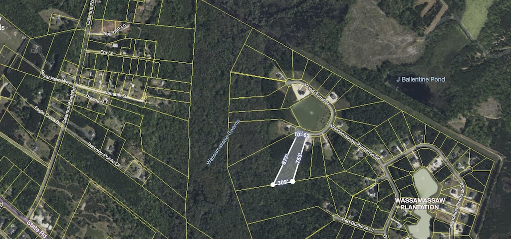 1305 Wood Sorrel Dr, Moncks Corner, SC 29461