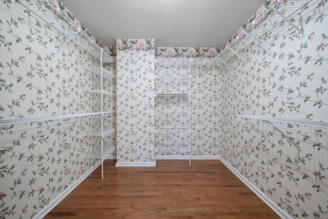 9175 Spring Branch Ct, North Charleston, SC 29406 - spacious closet with wood finished floors