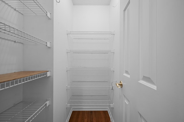 9175 Spring Branch Ct, North Charleston, SC 29406 - walk in closet with wood finished floors