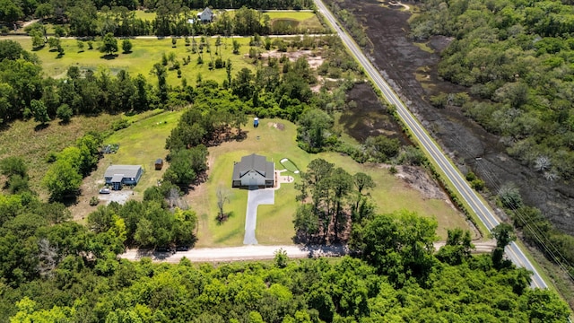 bird's eye view