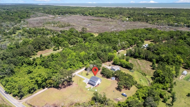 aerial view of a forest