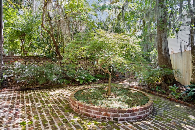 view of yard with a patio