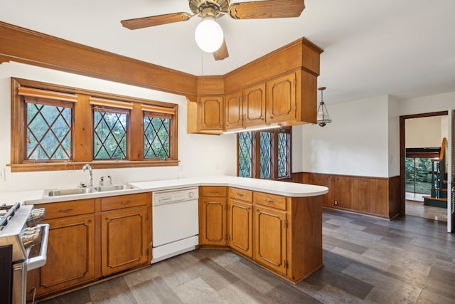 kitchen featuring dishwasher, kitchen peninsula, sink, a wealth of natural light, and ceiling fan