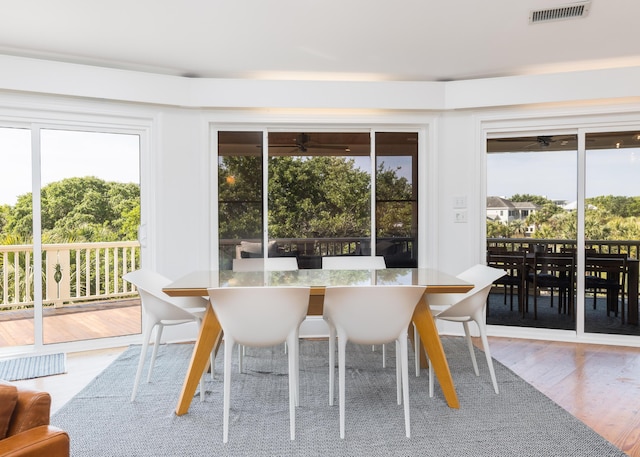dining space with a wealth of natural light, visible vents, wood finished floors, and ceiling fan