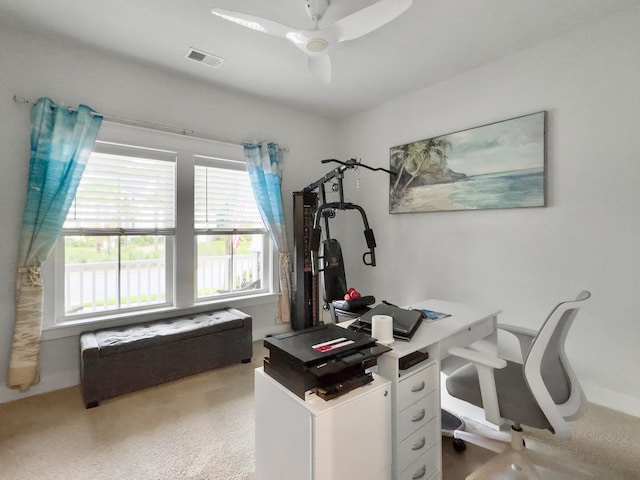 office space featuring ceiling fan and carpet flooring