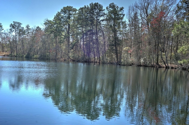 107 Boyle Way, Summerville, SC 29485