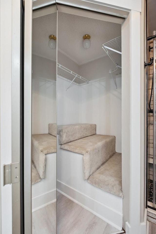 1161 Monaco Dr, Mount Pleasant, SC 29464 - spacious closet with wood finished floors