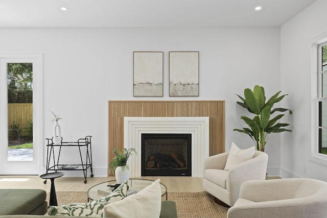 755 Adluh St, Mount Pleasant, SC 29464 - living room with recessed lighting, wood finished floors, and a fireplace