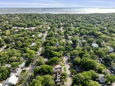 755 Adluh St, Mount Pleasant, SC 29464 - birds eye view of property with a forest view