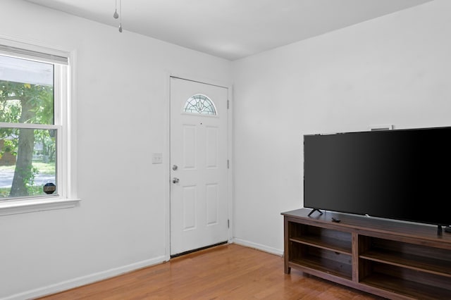 foyer entrance featuring baseboards, wood finished floors, and a wealth of natural light