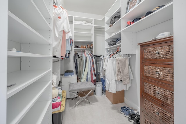 walk in closet featuring carpet floors