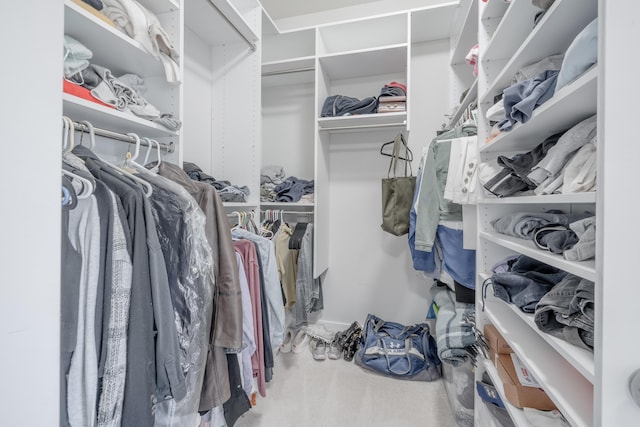 view of walk in closet