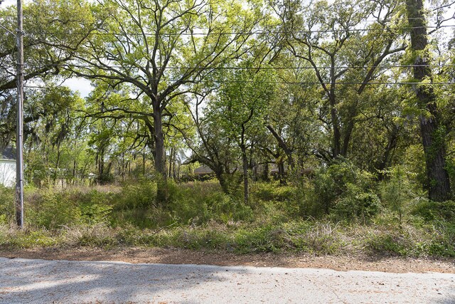 2557 Etiwan Ave, Charleston, SC 29414