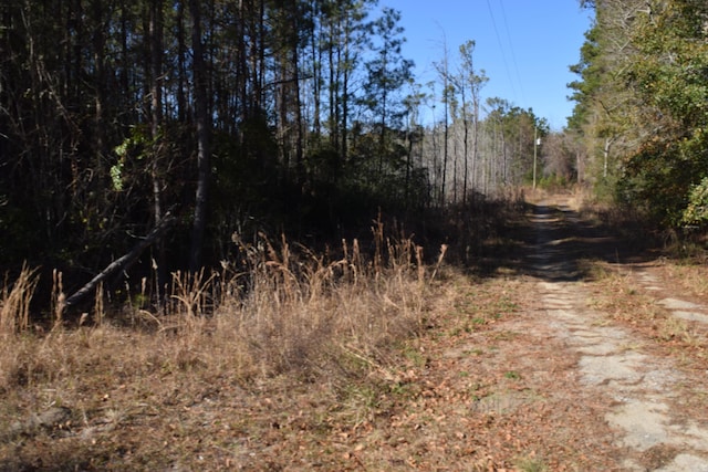 0 Black Tom Rd, Moncks Corner SC, 29461 land for sale