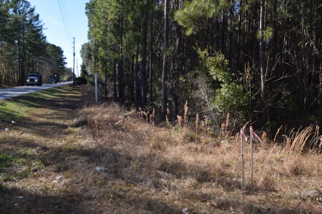 Listing photo 2 for 0 Black Tom Rd, Moncks Corner SC 29461