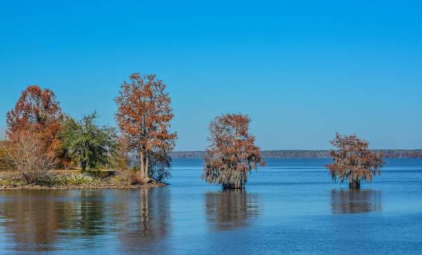 139 River Run Dr, Vance, SC 29163 - water view