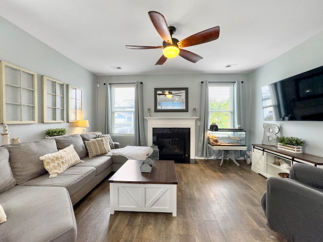 living room featuring ceiling fan, dark hardwood / wood-style flooring, and a healthy amount of sunlight