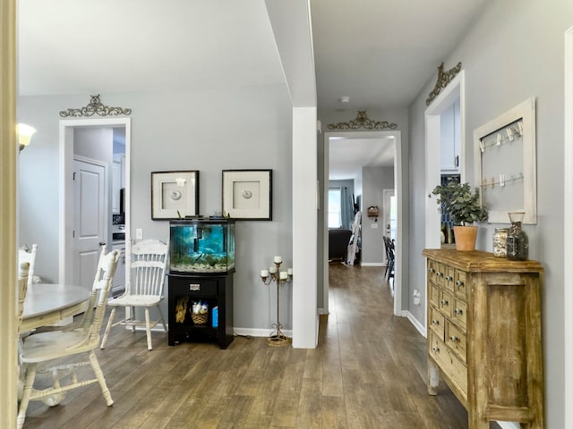 hallway with dark hardwood / wood-style flooring