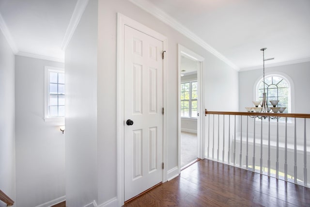 1713 Pimlico Blvd, Moncks Corner, SC 29461 - hall featuring dark wood-style flooring, ornamental molding, a chandelier, and baseboards