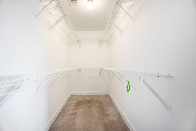 1713 Pimlico Blvd, Moncks Corner, SC 29461 - walk in closet featuring light carpet