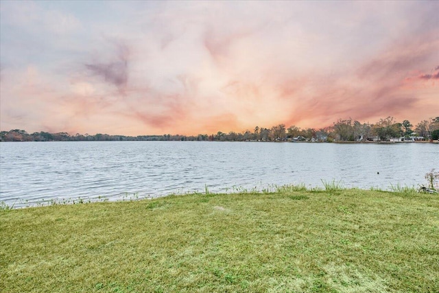 1713 Pimlico Blvd, Moncks Corner, SC 29461 - water view