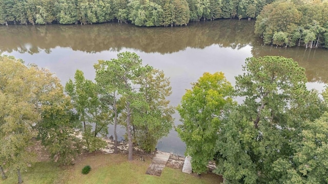 drone / aerial view with a water view and a forest view