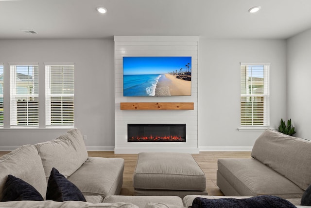 238 Bird Song Path, Summerville, SC 29485 - living area with a fireplace, wood finished floors, recessed lighting, and baseboards