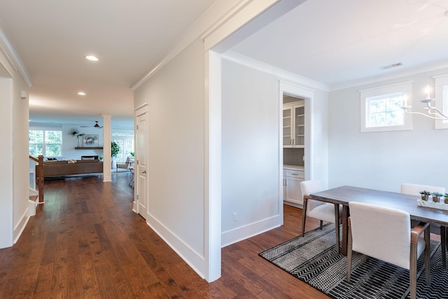 corridor featuring a wealth of natural light, dark wood-style flooring, visible vents, and crown molding