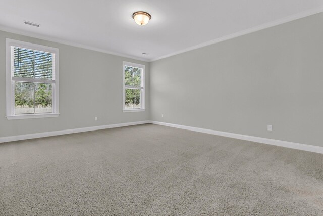 spare room with visible vents, ornamental molding, and carpet flooring