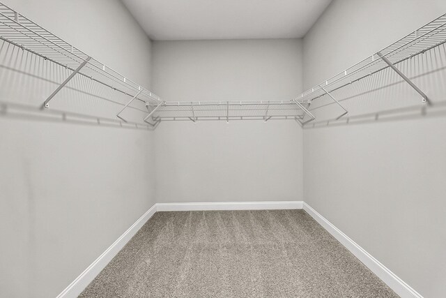 walk in closet with carpet