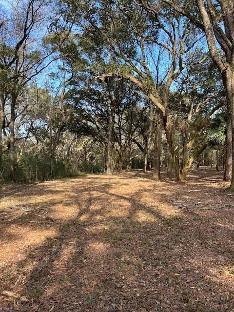 58 Seaside Ln Lot 58, Edisto Island SC, 29438 land for sale