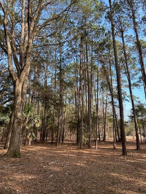 Listing photo 2 for 58 Seaside Ln Lot 58, Edisto Island SC 29438