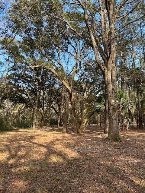 Listing photo 3 for 58 Seaside Ln Lot 58, Edisto Island SC 29438