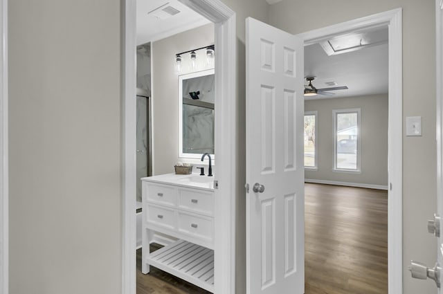 closet featuring visible vents and a sink