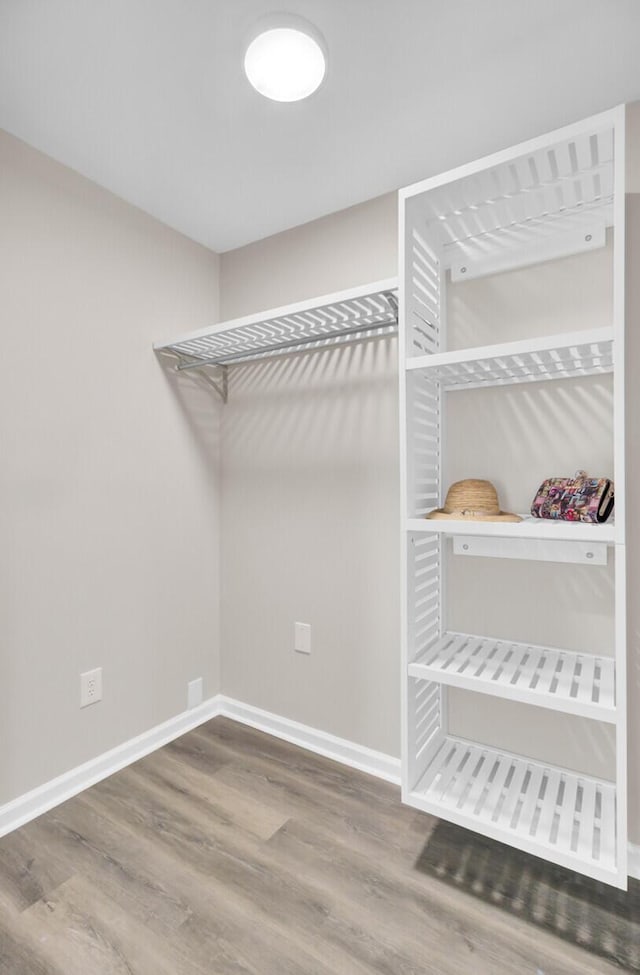 walk in closet featuring wood finished floors