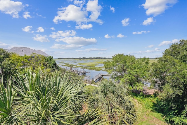 property view of water featuring a boat dock