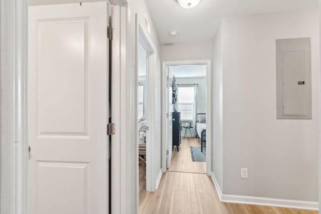 corridor with electric panel and light hardwood / wood-style floors