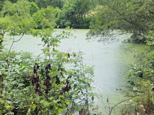 126 Rattlensnake Trl, Walterboro, SC 29488 - water view with a heavily wooded area