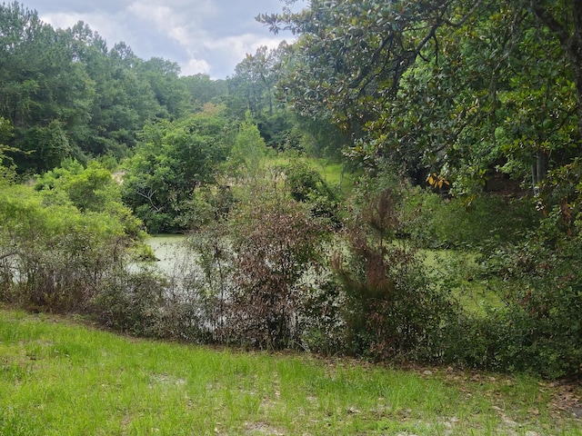 126 Rattlensnake Trl, Walterboro, SC 29488 - water view featuring a heavily wooded area