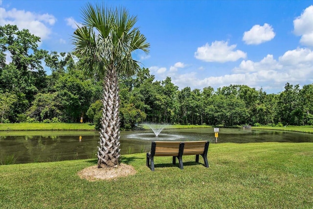 105 Brockman Way, Goose Creek, SC 29445 - view of community featuring a water view and a yard
