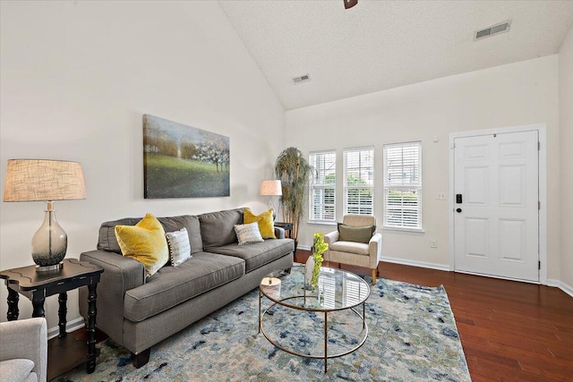 105 Brockman Way, Goose Creek, SC 29445 - living area featuring dark wood-style floors, high vaulted ceiling, and a textured ceiling